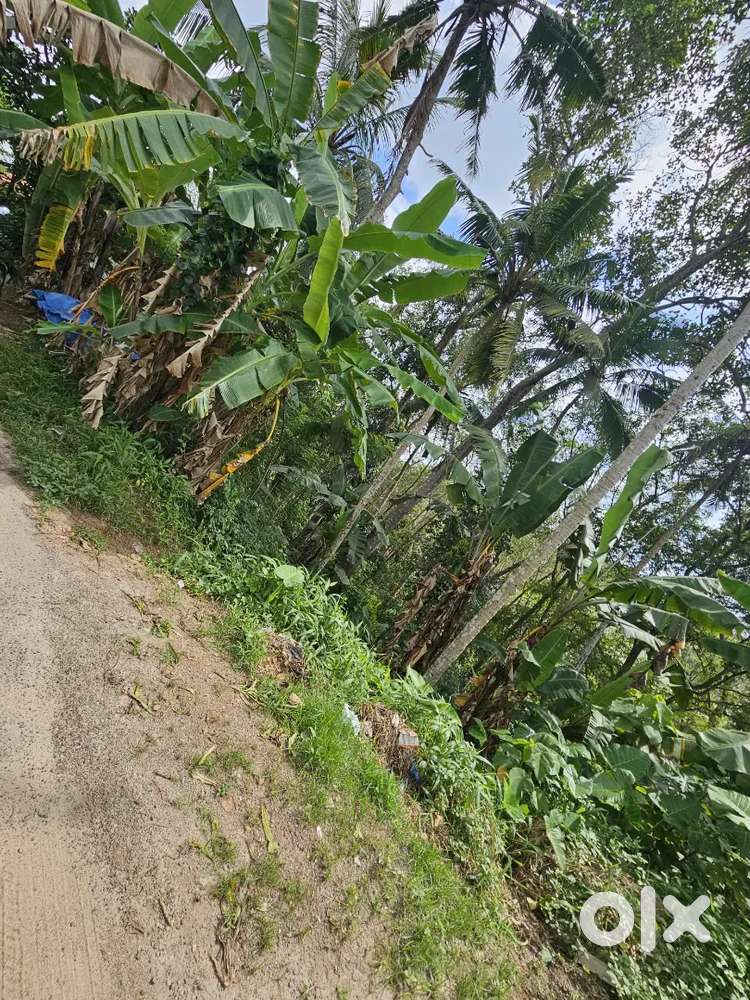 Plot for sale.