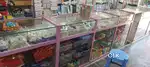 Fancy store furniture