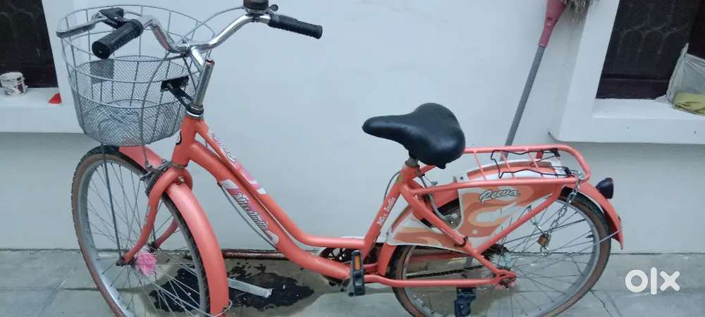 Ladybird cycle