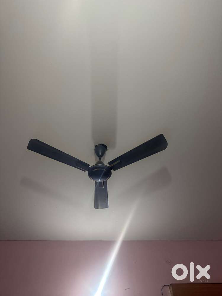 Ceiling Fan