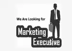 Marketing Executive Vacancy in office only B to B marketing Electroni