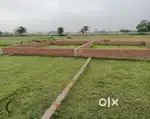Asrawal mein Road Par 1 beegha 4 biswa Jameen kewal 72lacs