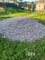 1 tipper balason bojri gitti available for sell