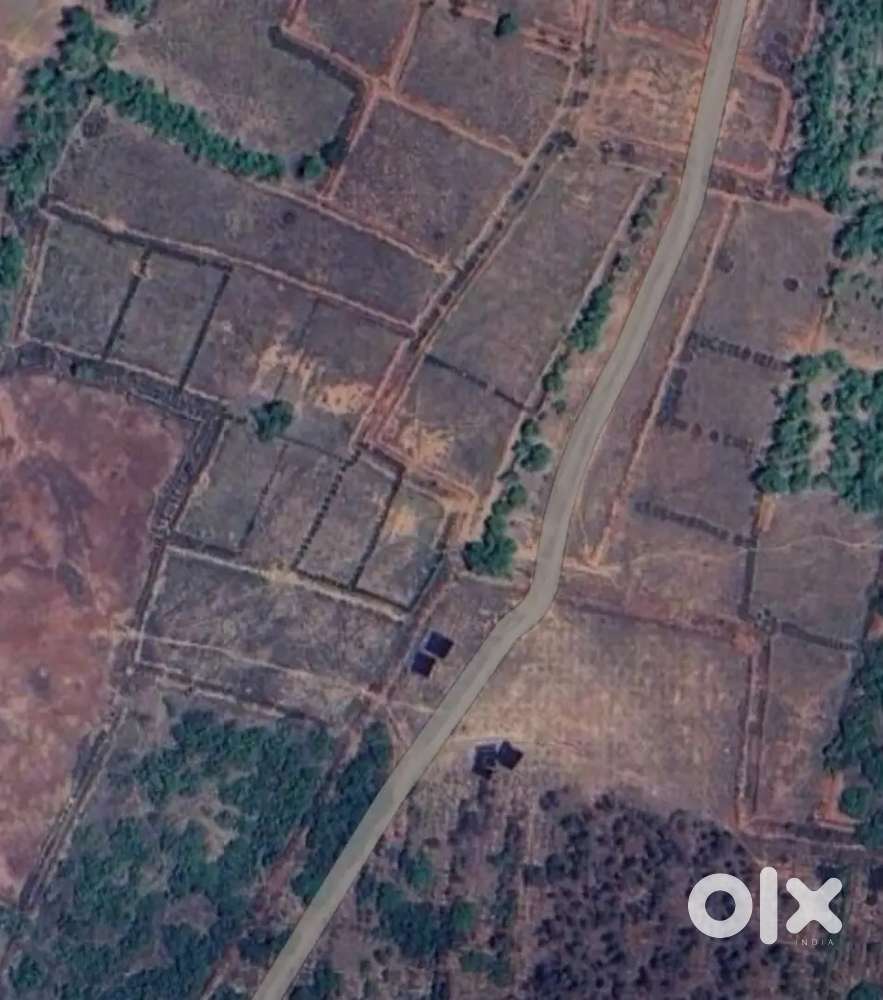 Pure General Registry , Mutation