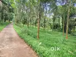 20 cent prime property sale near Manikav temple, Choothupara