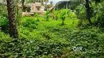 Residential Land - Elanthoor