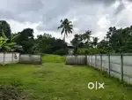 5 cent house plot