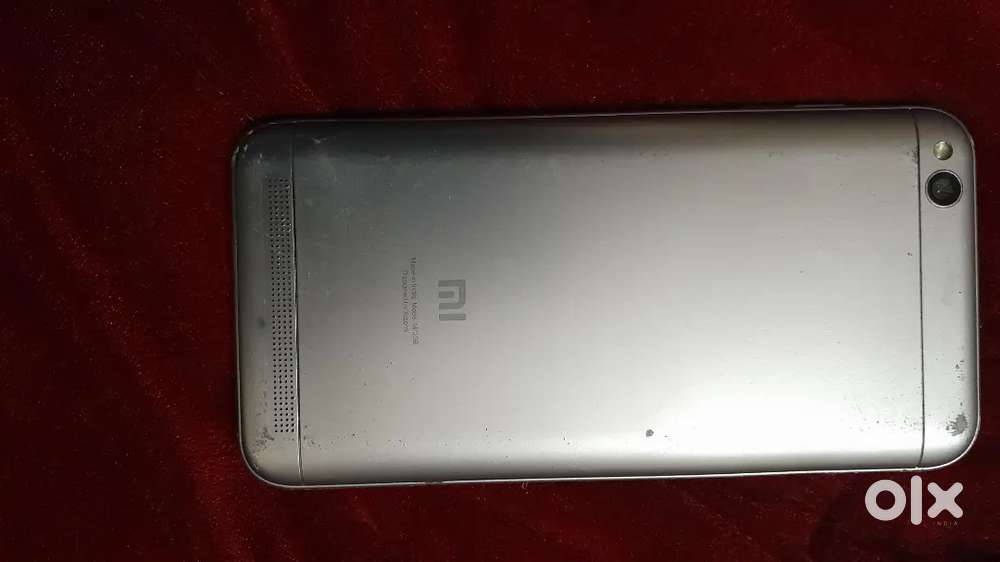 Redmi 1 year old