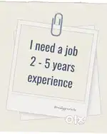 Accounts Executive and computer operator