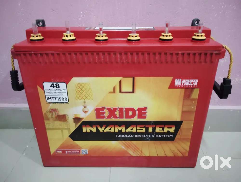 Inverter battery