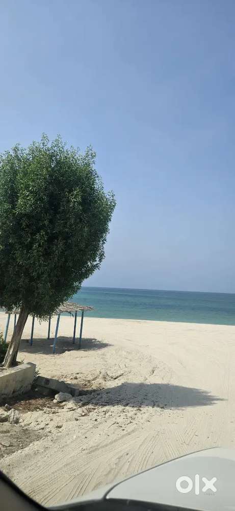 Flat or Villa required for Rent in Thottumugham nearby Aluva