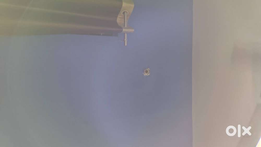 Need a boy / girl' roommate