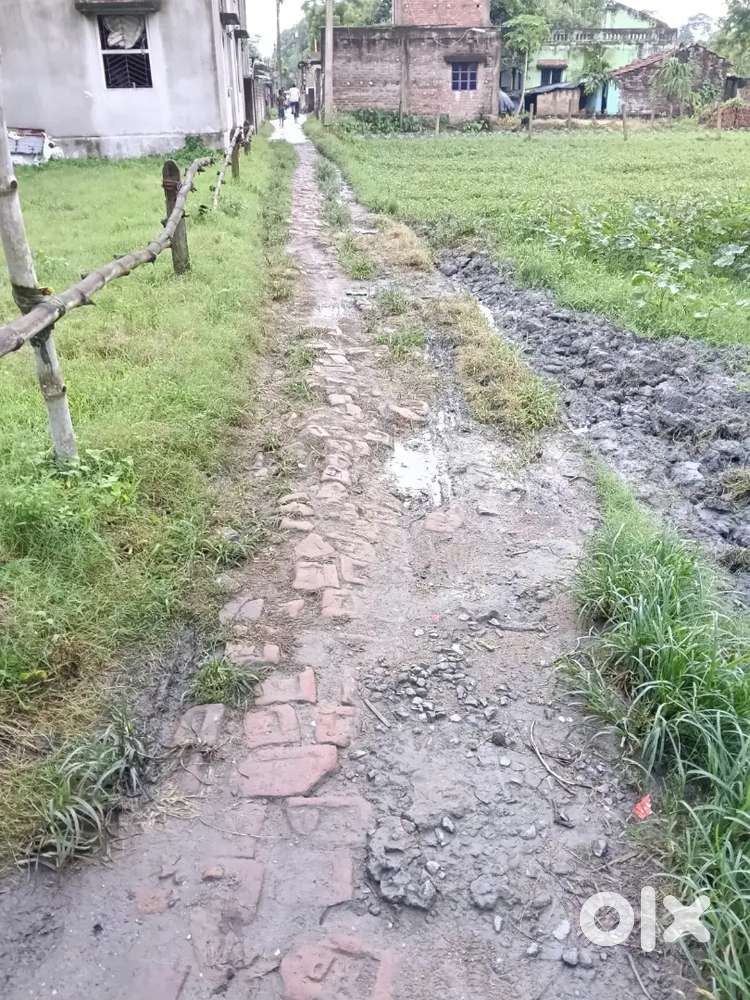 তিন ফসলী জমি বিক্রি আছে।  কাঁচা রাস্তা আছে।