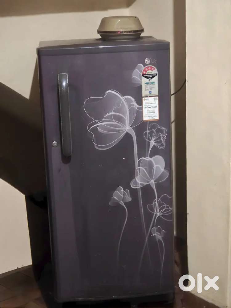 LG 4 star refrigerator