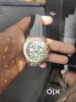 Rolex tiger watch