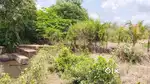 43 guntha plot with wall coumpand and water cannel sale in raigad pabh