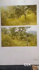 Land for sale in KITAM Namchi