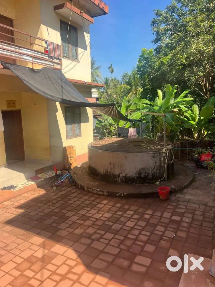 FAMILY ROOMS FOR RENT