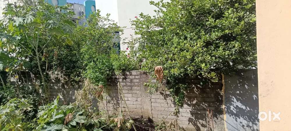 N A Plot with develop area