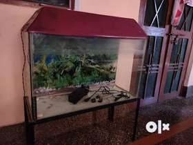 Aquarium glass 12*30*18 in gud conditionStand and filter inclusive