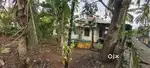 Thrikakkara near temple 10 cent old house for sale