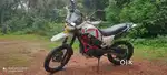 X pluse rally edition