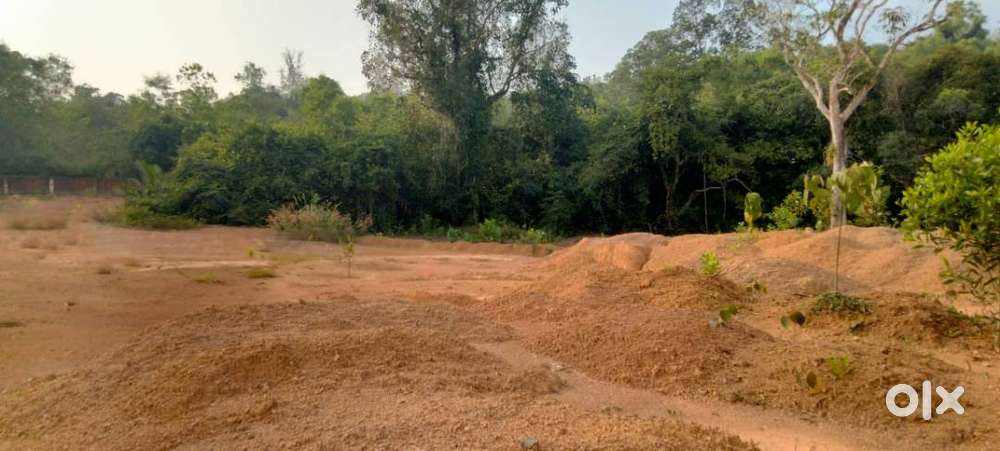 road attached emty land for sale