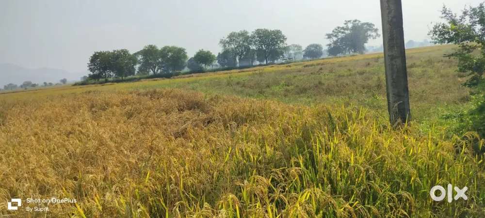 ANY TYPE OF LAND WE ARE PROVIDED GENUINE PRICE