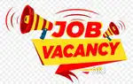 Office boy required for advocate office at Marine drive, Cochin