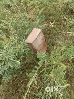 Location at jaipur jodhpur highway in Banar Behind gutka factory