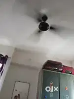 Ceiling fan