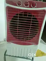 Cooler 3 month old
