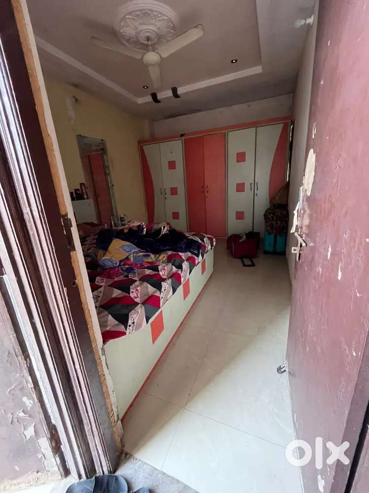 Single Female roommate