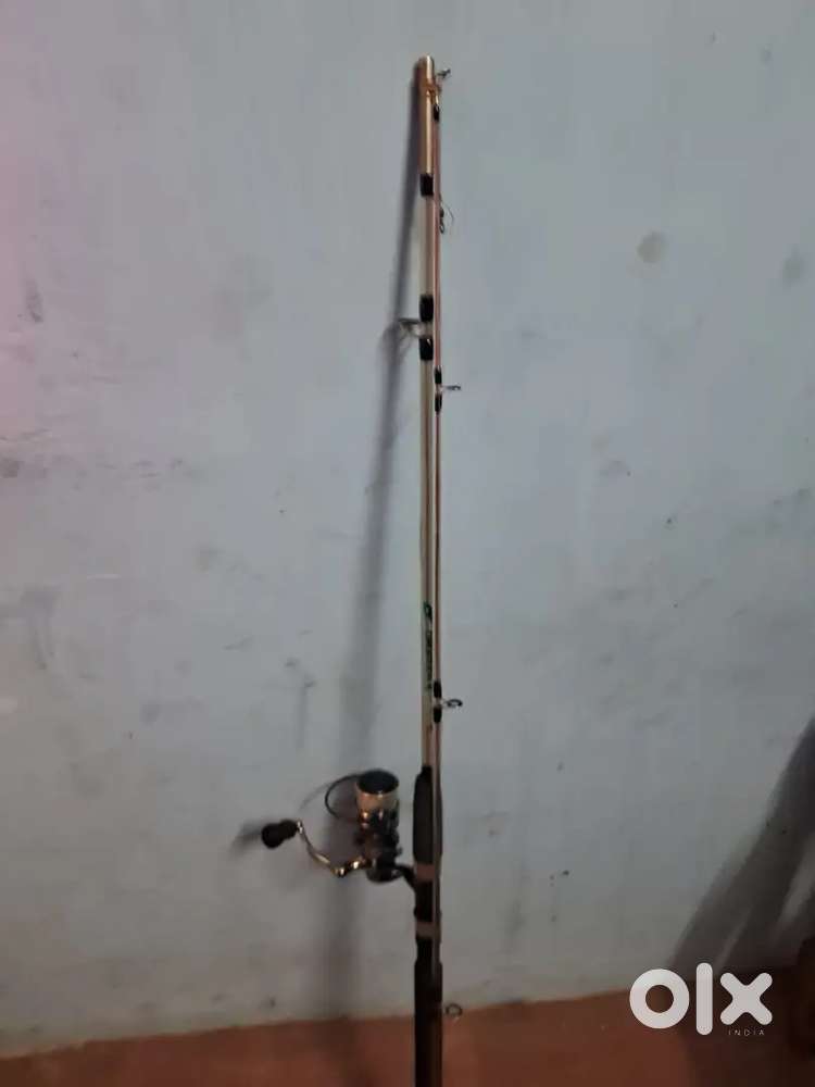 Fishing rod