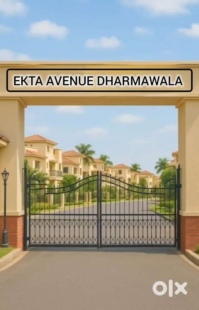 Best plot for investment