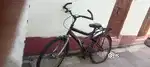 Cycle shop