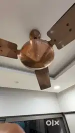 Used Havells 48” Orion Ceiling Fan for sale