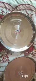 2  brand new stainless steel thali