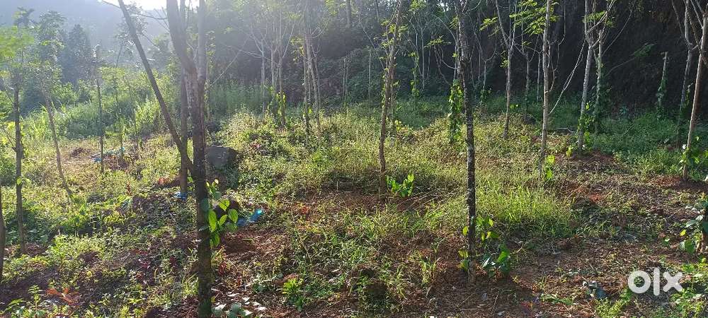 Well maintained property