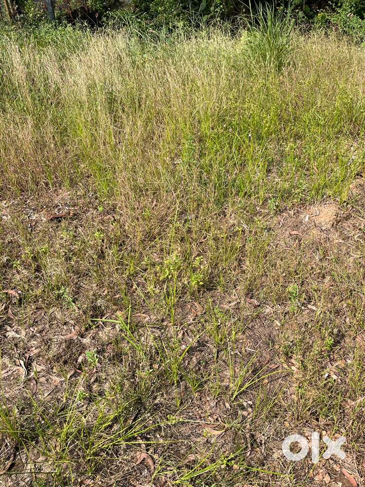 10cents Empty land for rent just near Reliance smart, Surathkal