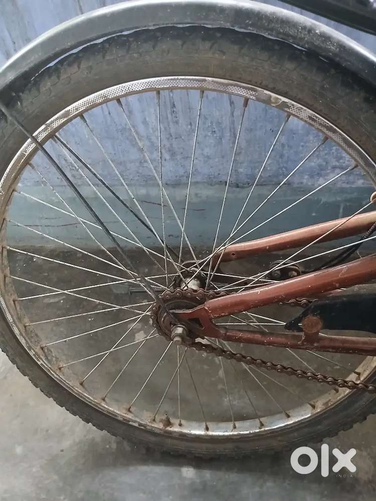 Avon cycle 2 year old