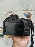 Canon & Nikon