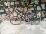 Genx cycle