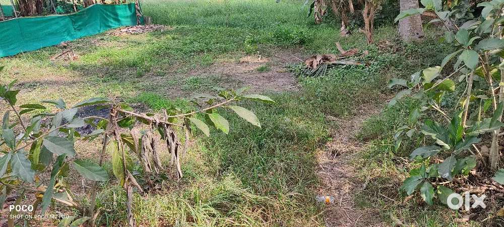 Site for sale 3 cents