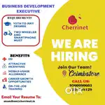 BUSINESS DEVELOPMENT EXECUTIVE
