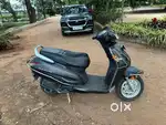 Grey activa 2021