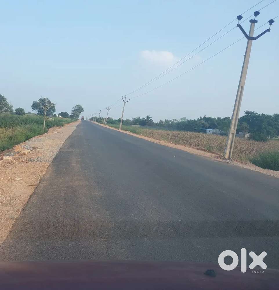 Open Plots near houses just 3,800 per sq-Yard