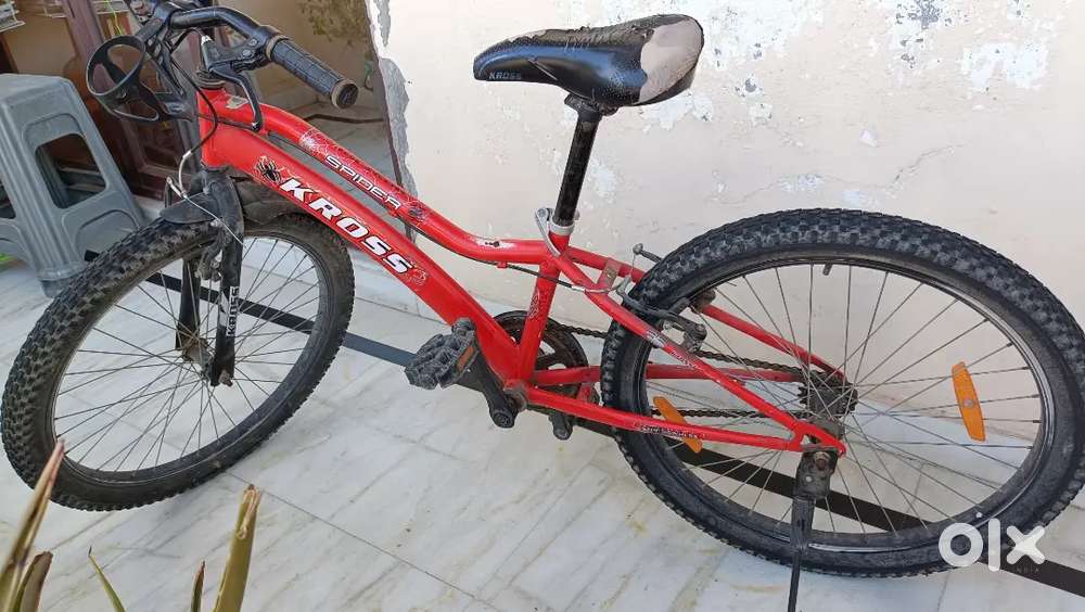 Kross spider cycle