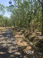 10 acres Land sale at Perigome Payyanur