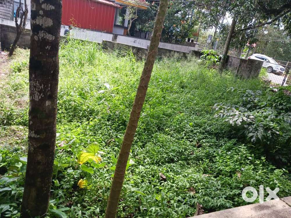 Prime 4 cent roadside plot available